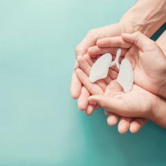 Adult and child's hands holding miniature lungs
